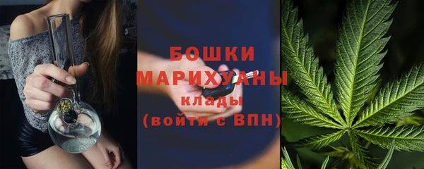 гашик Нефтекумск