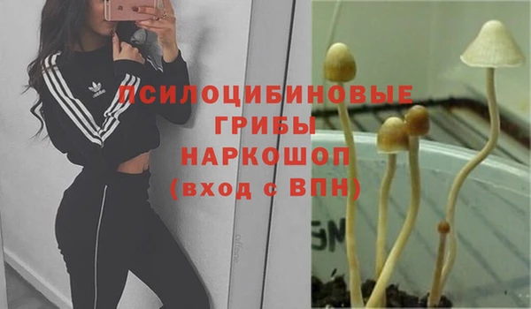 крисы Нефтегорск