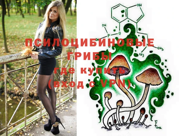 крисы Нефтегорск