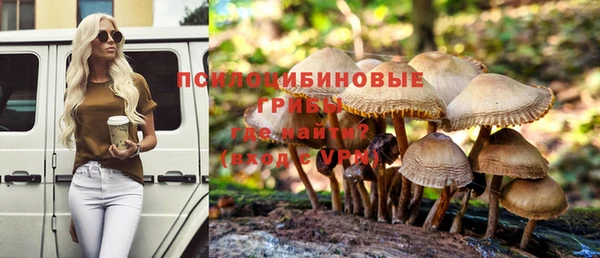 гашик Нефтекумск