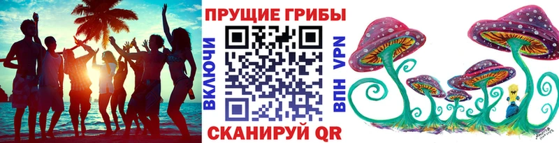 Галлюциногенные грибы GOLDEN TEACHER  что такое   Карпинск 