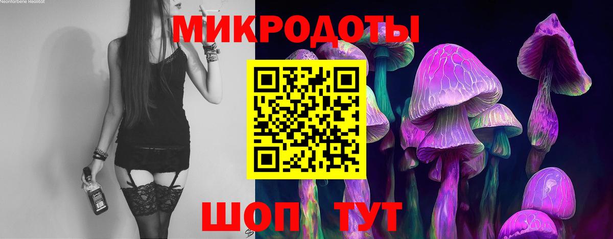 Галлюциногенные грибы Psilocybe Карпинск